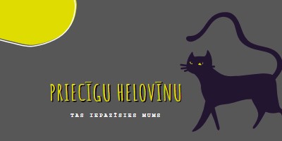 Akreditācijas datu kaķis black whimsical-color-block