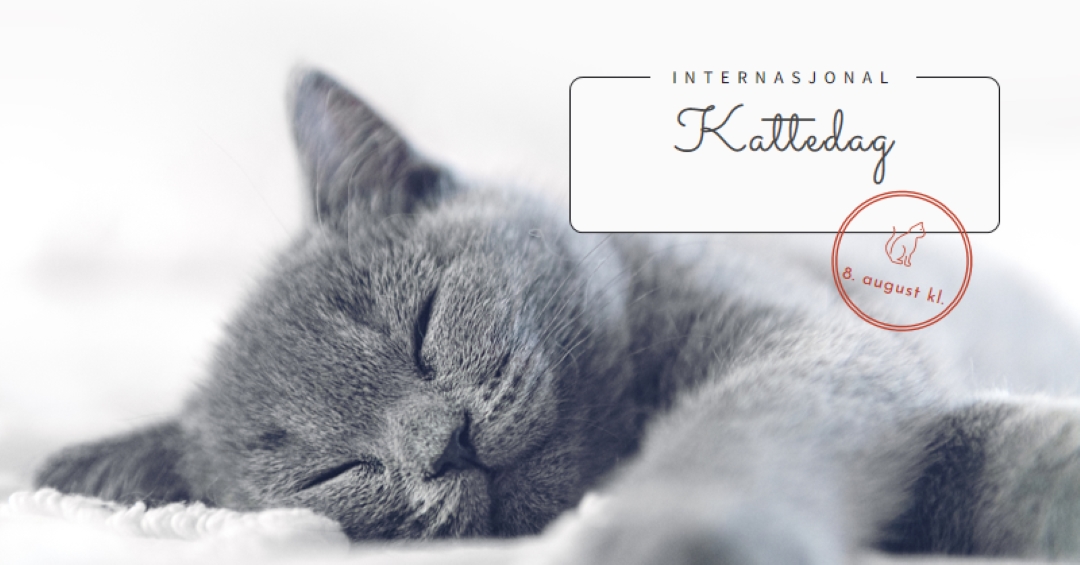 Kattelur gray modern-simple