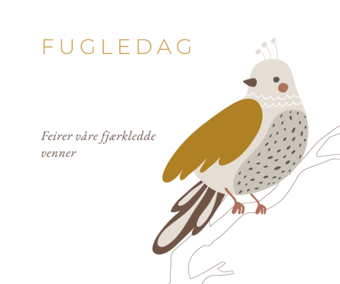 Sky er grensen white whimsical-line