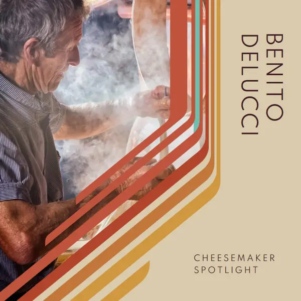 Ostemaker spotlight brown vintage-retro