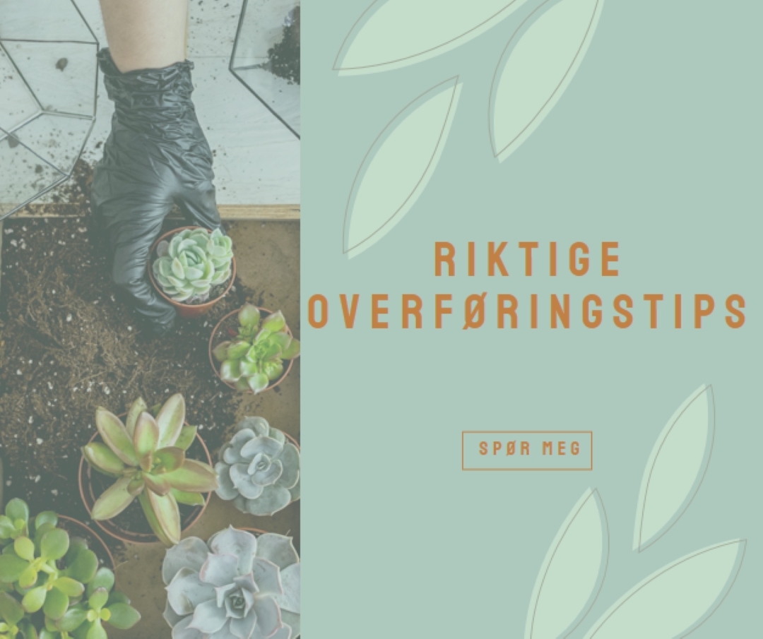 Rett og slett saftig green organic-simple