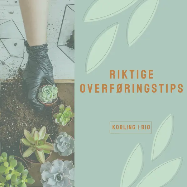 Rett og slett saftig green organic-simple