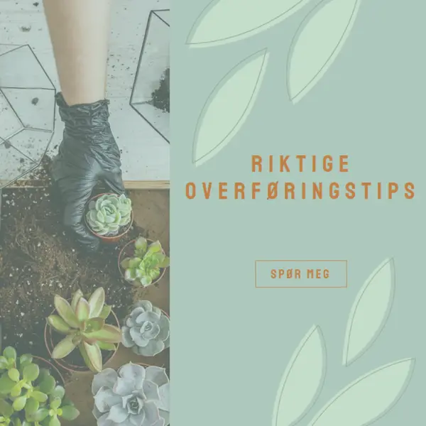 Rett og slett saftig green organic-simple