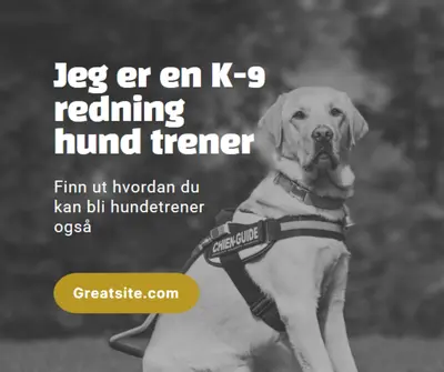 Jeg er en redningshund trener black modern-simple