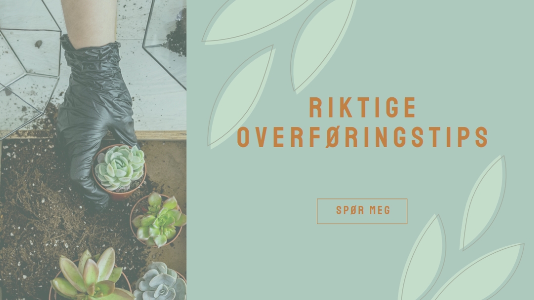 Rett og slett saftig green organic-simple