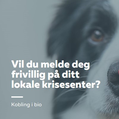 Frivillig og ta med jubel blue modern-simple