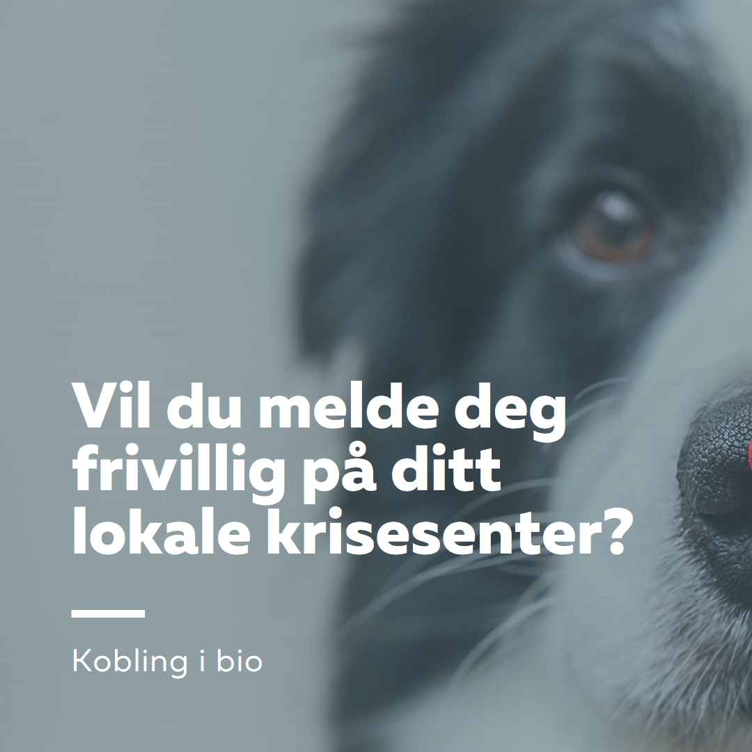 Frivillig og ta med jubel blue modern-simple
