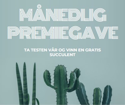 Månedlig premiekonkurranse green modern-simple