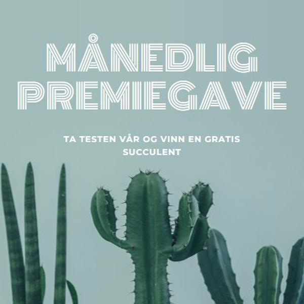 Månedlig premiekonkurranse green modern-simple