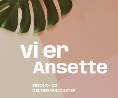 Vi ansetter sesongarbeidere pink modern-simple