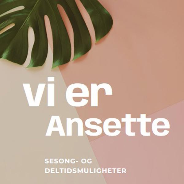 Vi ansetter sesongarbeidere pink modern-simple