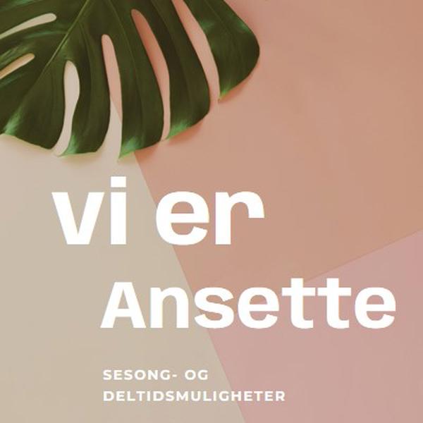 Vi ansetter sesongarbeidere pink modern-simple