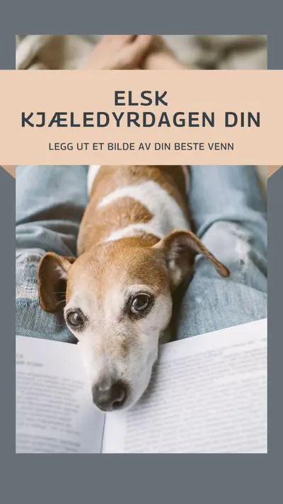 Din beste venn gray modern-simple