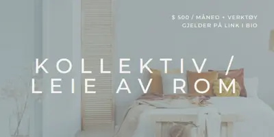 Kollektiv / Leie av rom gray modern-simple