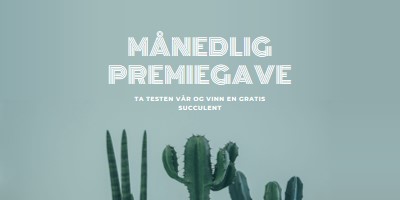 Månedlig premiekonkurranse green modern-simple