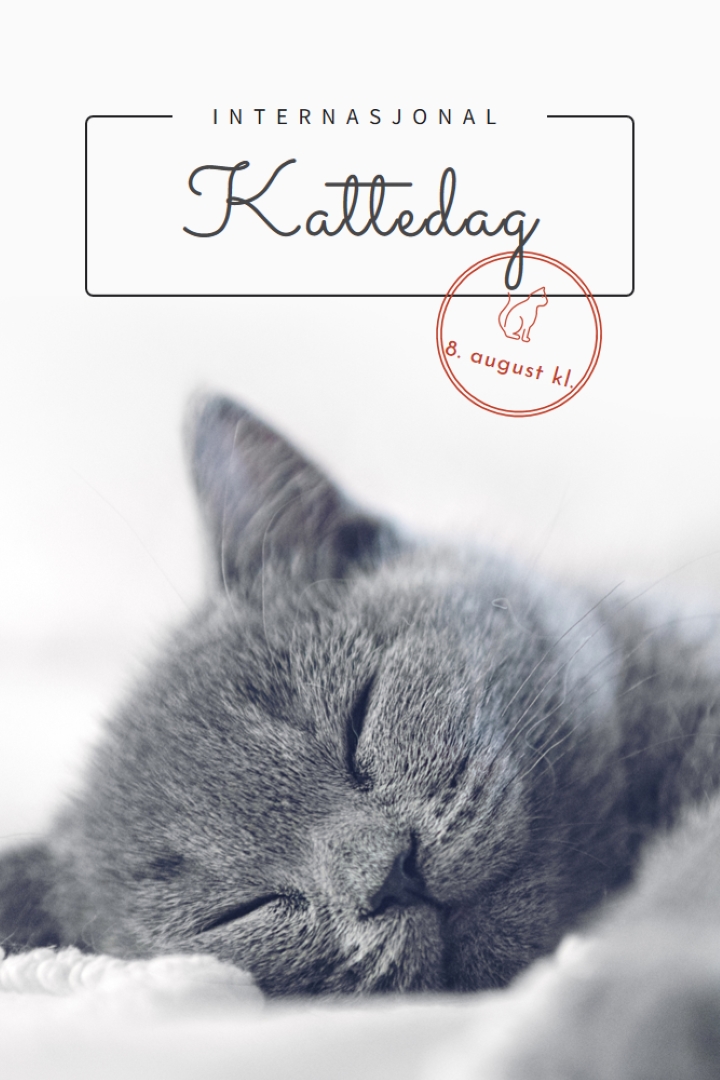 Kattelur gray modern-simple