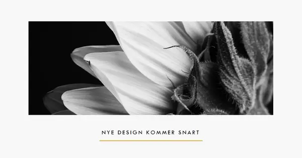 Skarpe kronblad white modern-simple