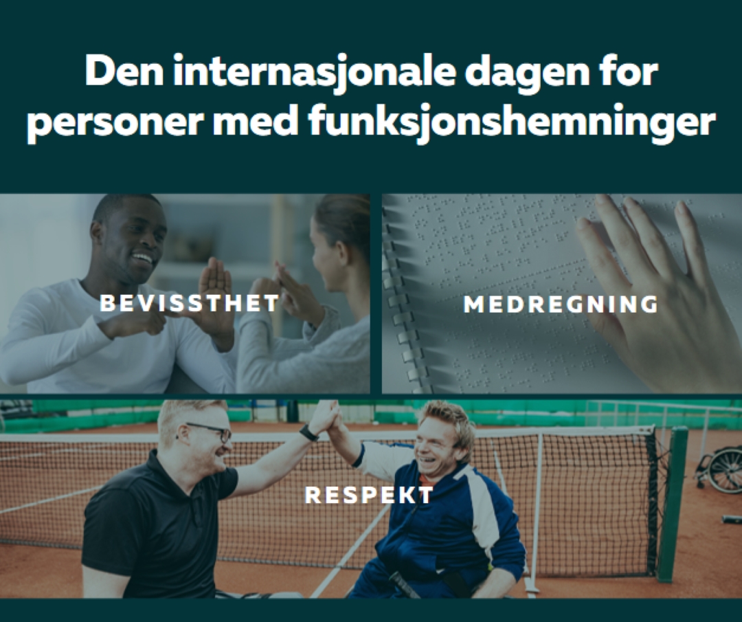 Funksjonshemmingsdiskurs gray modern-simple