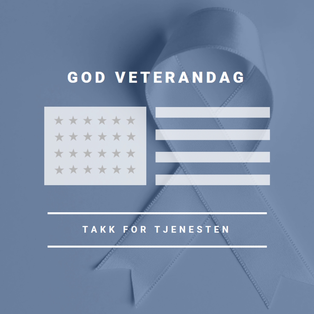 Hedre amerikanske veteraner gray modern-simple