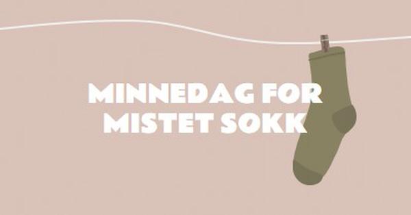 Minnedag for tapt sokk brown whimsical-color-block