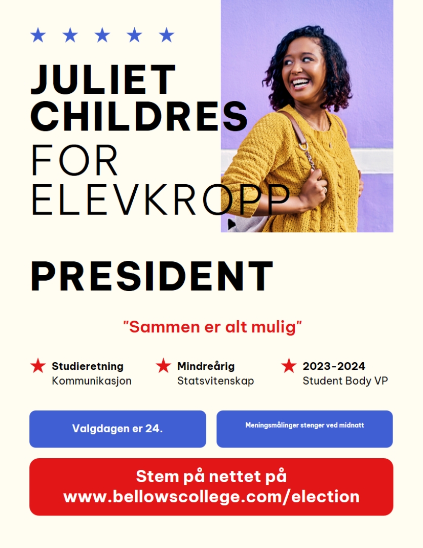 Politisk kampanjeflyger white modern,bold,informative,patriotic