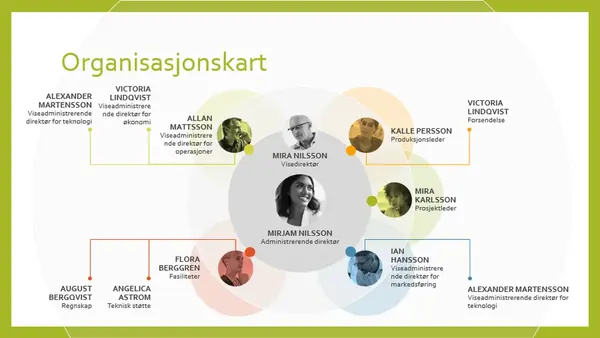 Teamets organisasjonskart
