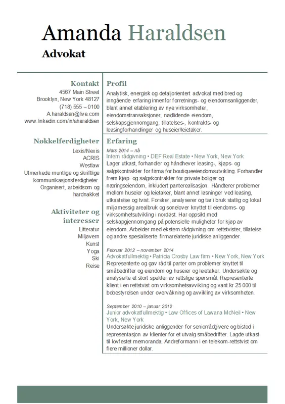 Advokat-CV modern-simple