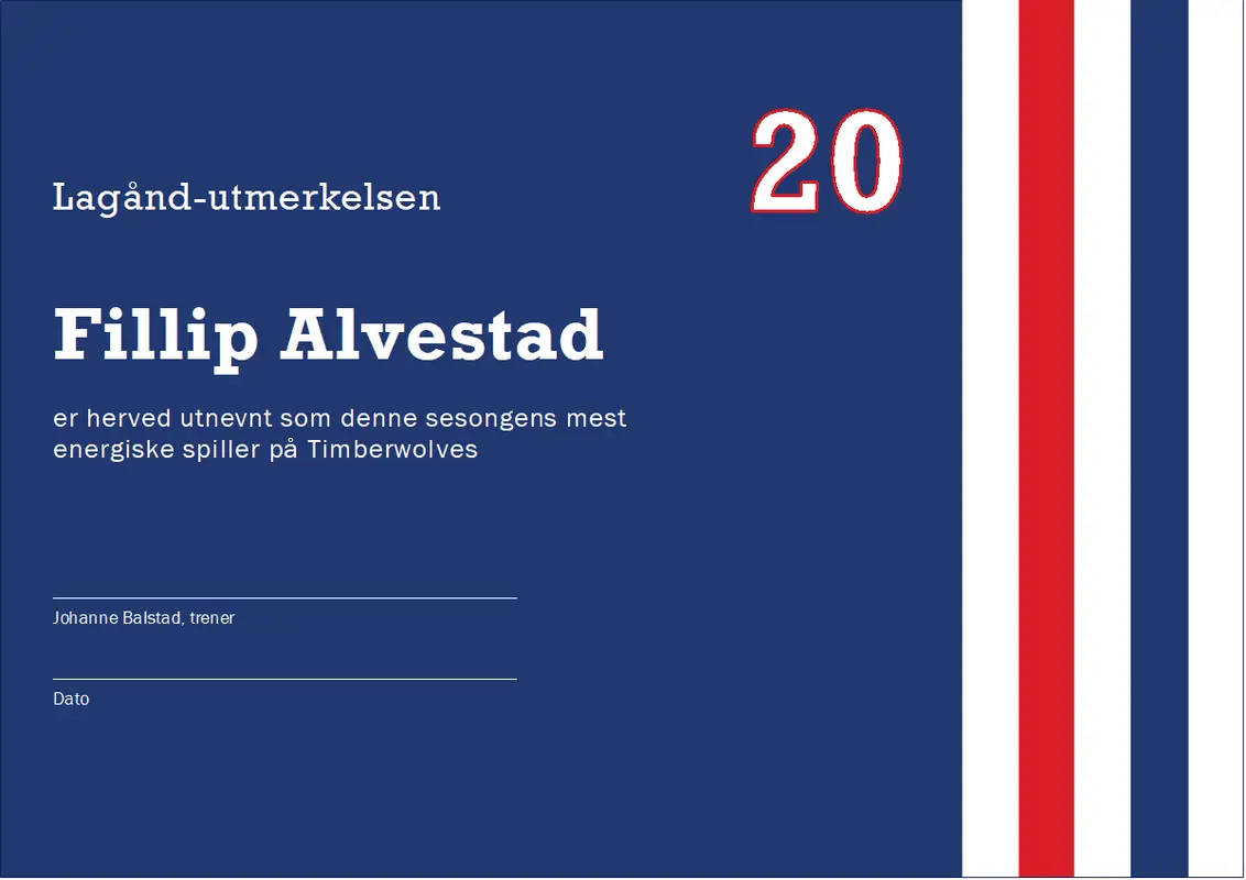 Diplom for beste lagånd modern-color-block