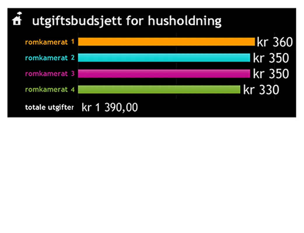 Husholdningsbudsjett modern simple