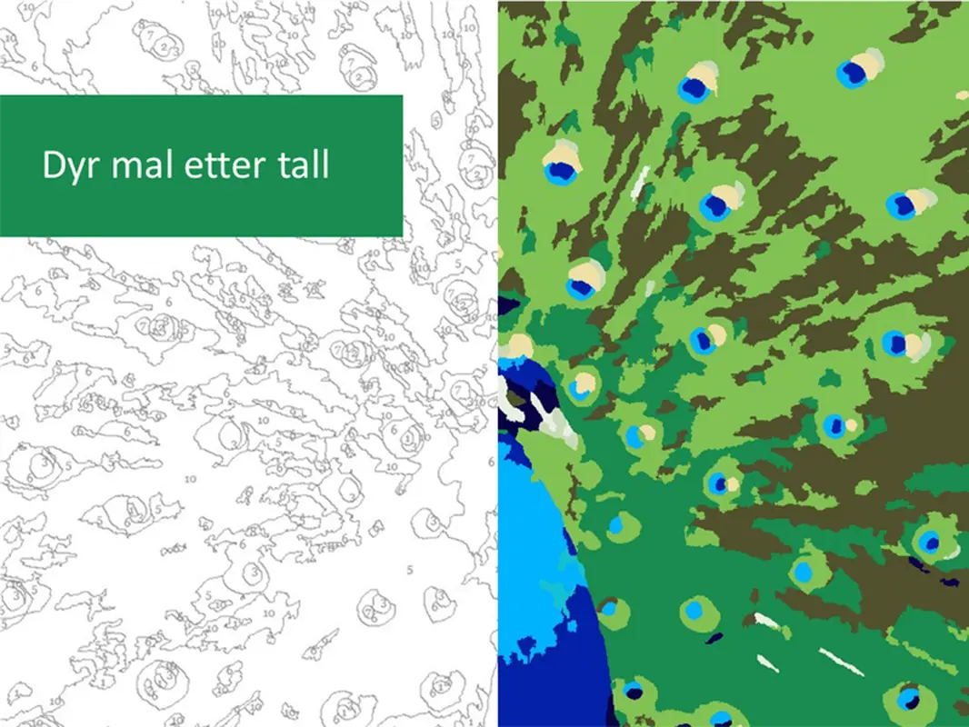Dyr mal etter tall