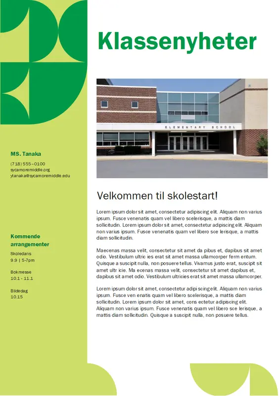 Nyhetsbrev for klasserommet modern-geometric