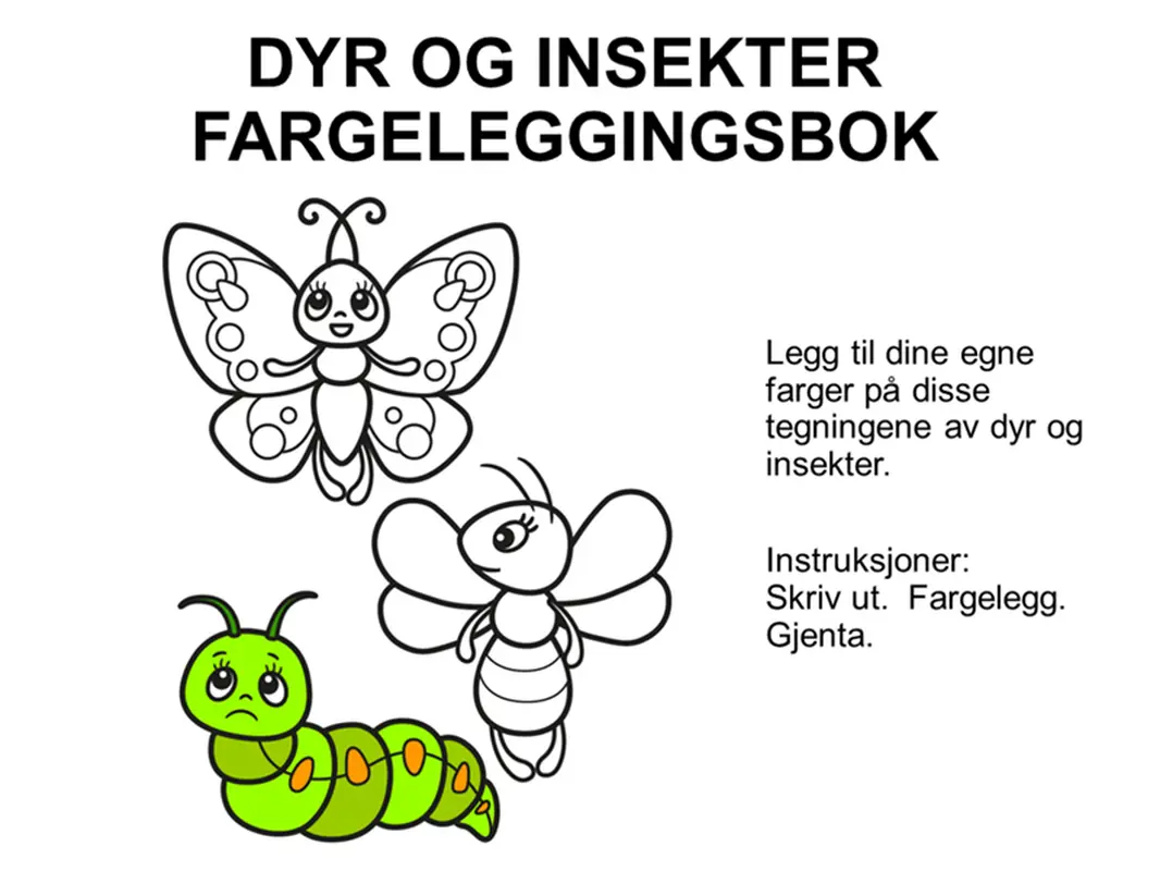 Dyr og innsekter fargeleggingsbok