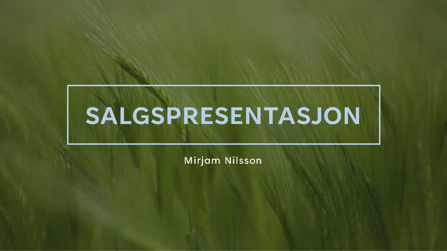 Grønn salgspresentasjon modern-simple
