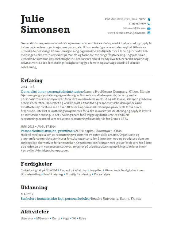 CV modern simple
