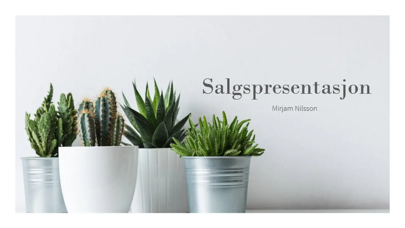 Enkel salgspresentasjon modern-simple