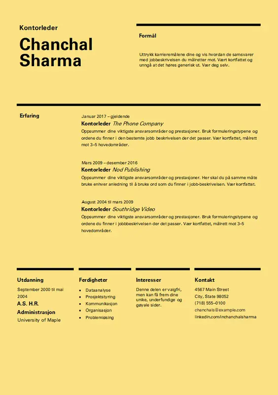 CV i sveitsisk utforming modern simple