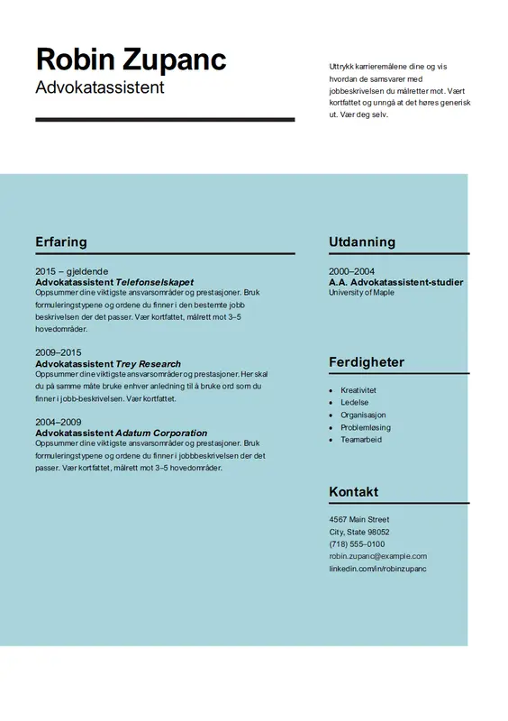 Slående CV modern simple