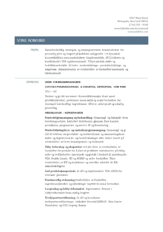 CV for leder for reguleringssaker modern simple