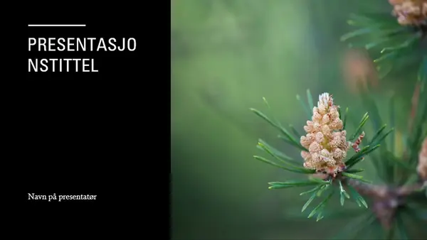 Krøniketema modern-simple