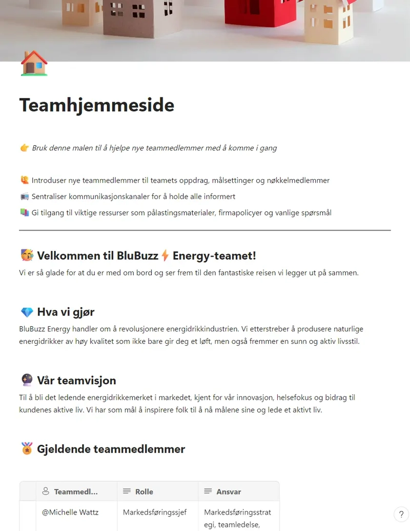 Teamhjemmeside