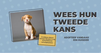 Tweede kans pup blue modern-bold