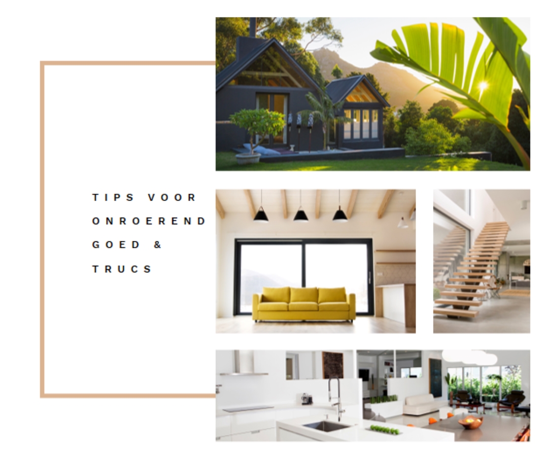 Tips voor onroerend goed white modern-simple