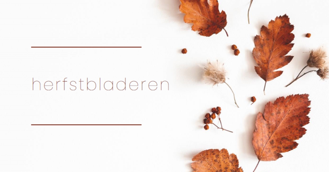 De bladeren zijn gevallen white modern-simple