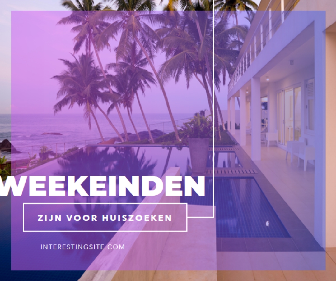 Verblijf om uit te gaan purple modern-bold