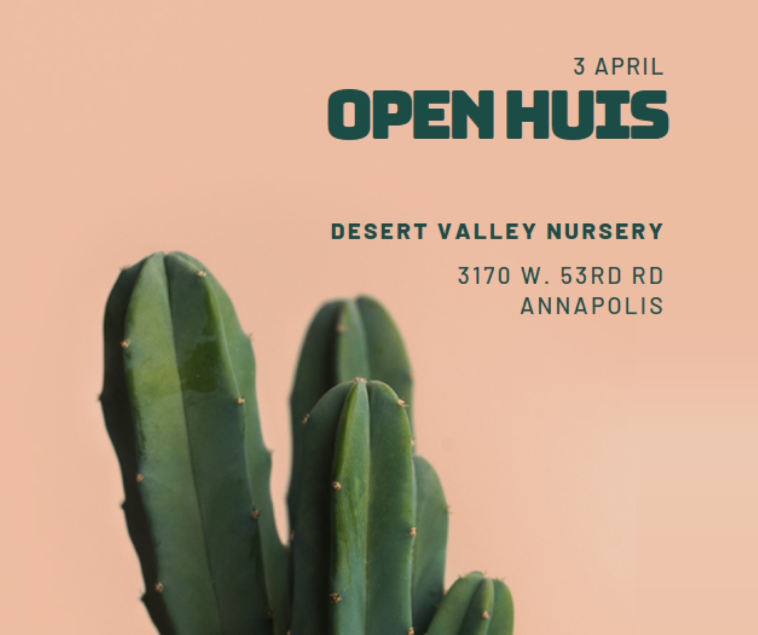 3 april open huis pink modern-simple