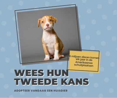 Tweede kans pup blue modern-bold