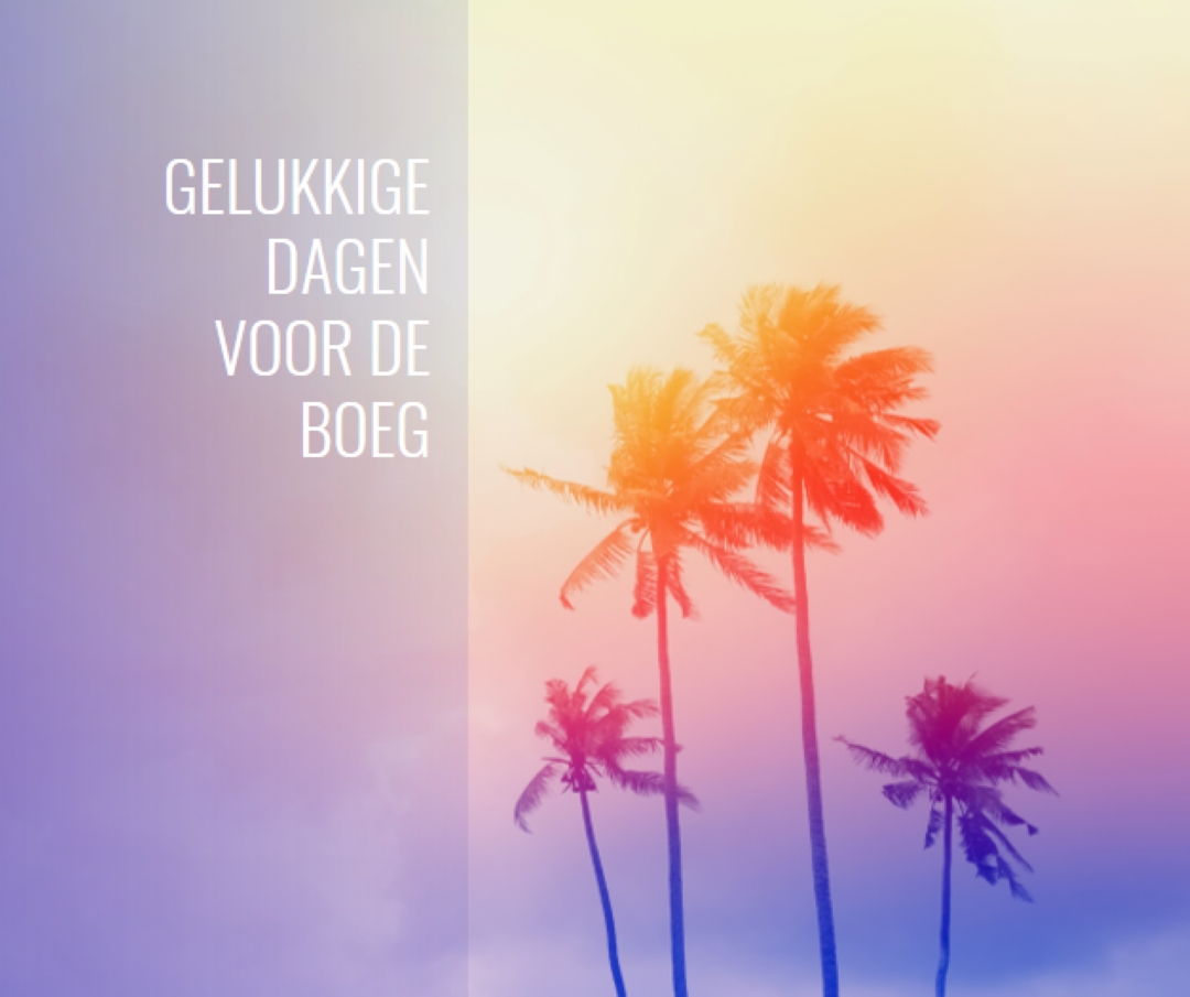 Zoek orange modern-bold