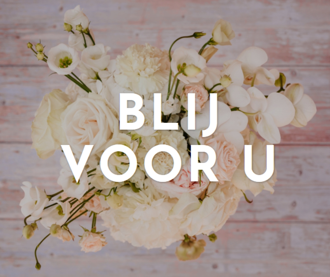 Zalig boeket purple modern-simple