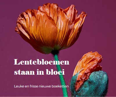 Verse bloemen purple modern-simple