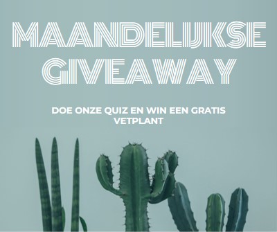 Maandelijkse giveaway-toets green modern-simple